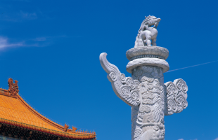 推动中国品牌迈向高质量发展新阶段  