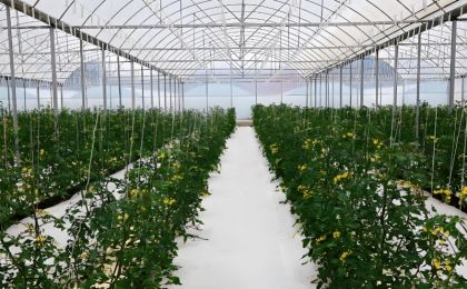 以设施农业为名非法采矿、整改弄虚作假……14个典型问题被通报