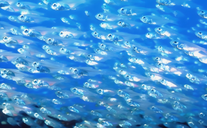 全球首个深海生境多模态大模型发布