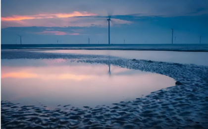  “寻鲜”游让游客“走进来、留下来”   