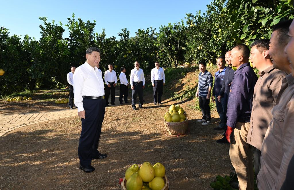 1762751552467404.jpg 新华社记者.jpg