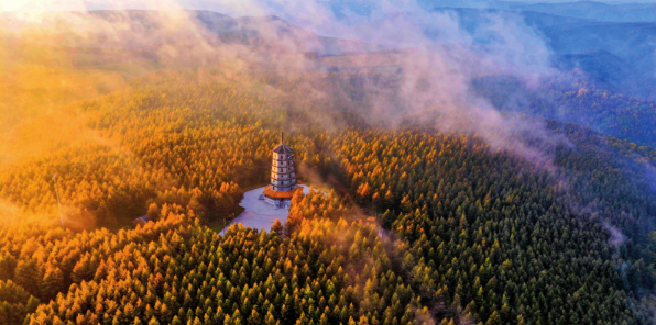 1762762694245062.png 河北省塞罕坝国家级自然保护.png