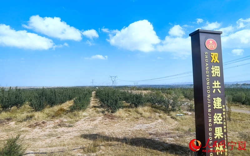 1763004148352766.jpg 移民村的经果林。.jpg