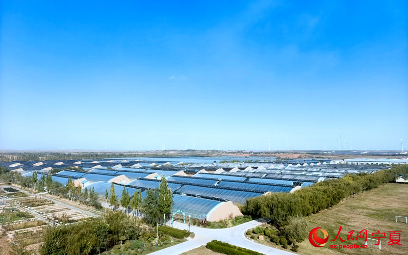 1763004172404876.jpg 设施温棚。人.jpg