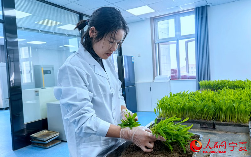 1763004192557166.jpg 质检员杨韬在做玉.jpg