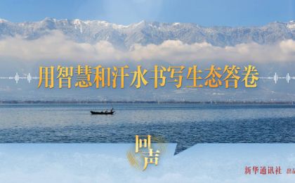 用智慧和汗水书写生态答卷