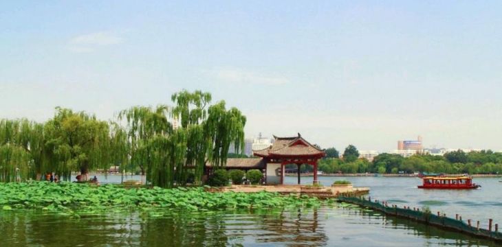 携一缕初夏的芬芳 探寻泉城别样魅力