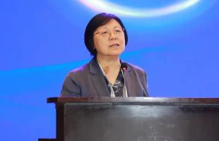 碳市场≠金融游戏！教育部长江学者特聘教授范英：三招破解“双碳”技术沉没成本困局