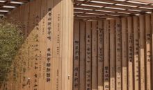 向世界发出的“绿色邀约”