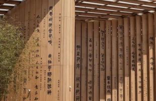 向世界发出的“绿色邀约”