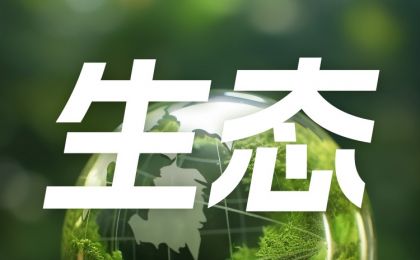 如何深化排污权交易、推动构建生态环境多元共治格局？