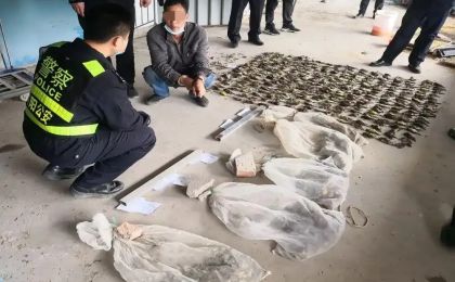 17人猎杀买卖禾花雀获刑：“极危动物”仅5元一只收购，催肥后20多元卖出