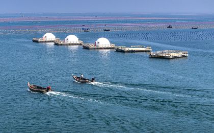 海洋经济动能澎湃