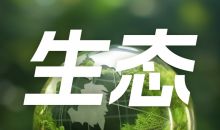 降雨减少、热浪加剧——约旦河谷农民面临气候变化压力