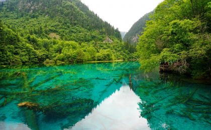 六词读懂绿水青山就是金山银山理念的实践伟力