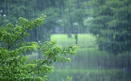 雨那么多，北方的气候“南方化”了吗？