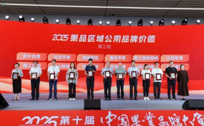 品牌价值达47.49亿元 资中血橙产业发展势头强劲