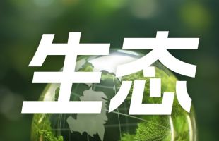 为全球能源治理变革提供“上合方案”