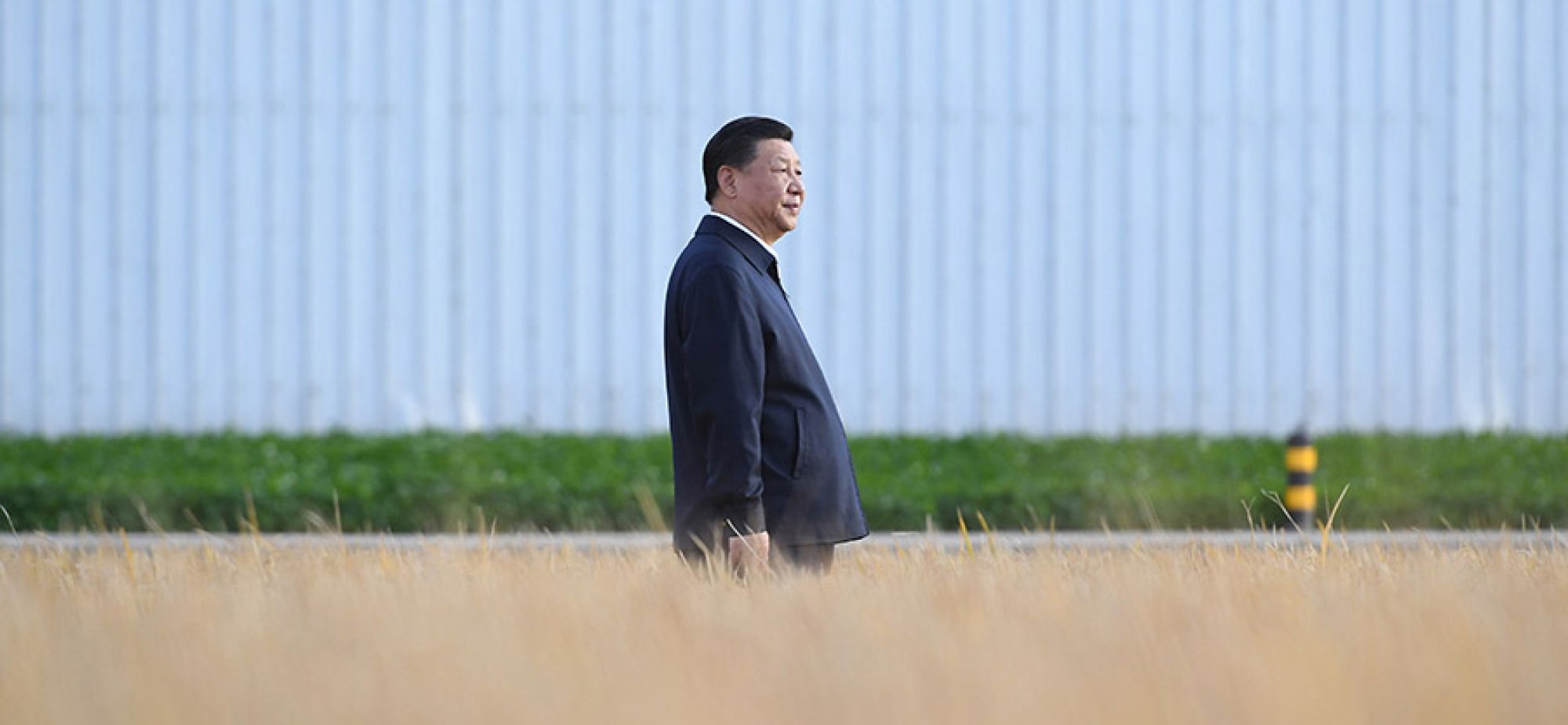 习近平总书记心系农民丰收的故事