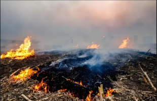 “土办法”助力防范农村露天焚烧
