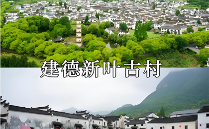 古村秀美 “新叶”常新