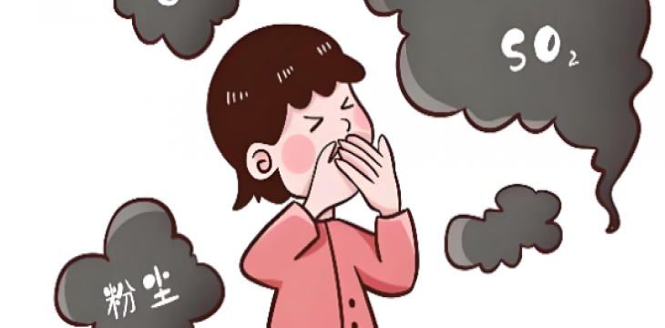 河北8市启动重污染天气Ⅱ级应急响应  