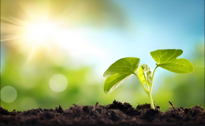 拓展绿色贸易,商务部提出16条实施意见!