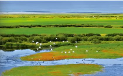 李强签署国务院令    公布《生态环境监测条例》