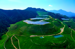 财政部提前下达2026年首批资金预算，用于重点生态保护和海洋生态保护