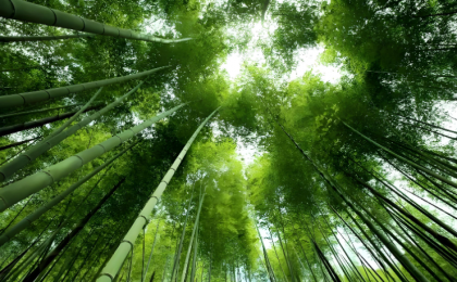 重庆忠县“以竹代塑”，串起三重共赢的绿色产业