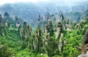 “荒野求生赛”为何屡被叫停？