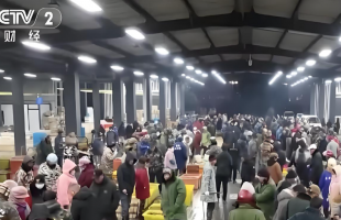 锚定“稳股市” 多方联动共护资本市场向好态势    