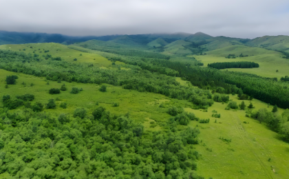 2025年中国完成国土绿化任务1.27亿亩