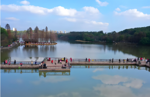 衡阳市雁峰区：攻坚克难，持续打好“蓝天保卫战”