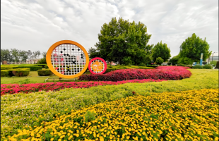 中国游中国购，“来一趟怎么够”   