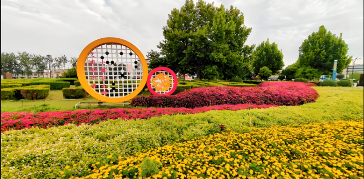 中国游中国购，“来一趟怎么够”   