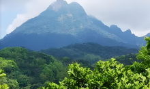 “我们守着山，山也守着我们”    