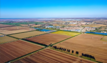 科技改良让盐碱地变身“致富田”  