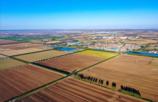 科技改良让盐碱地变身“致富田”  