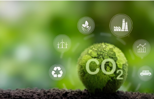 “零碳工厂”的中国“碳”索   