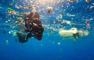 几乎看不见的污染，厦门这样治理