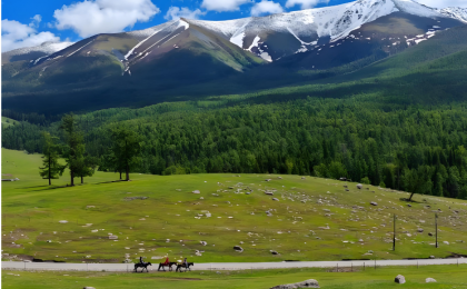 阿勒泰羊闯出热销路   