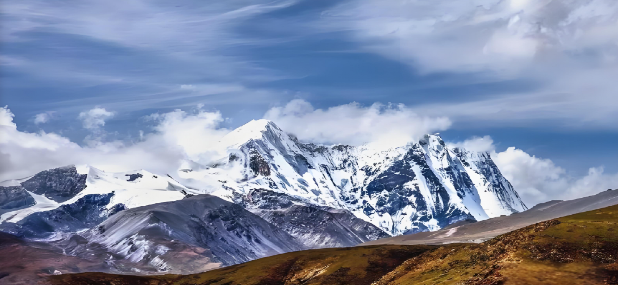 法护大江 绿意无限