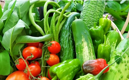 1月份蔬菜价格环比稳中有降 “菜篮子”产品供应有保障