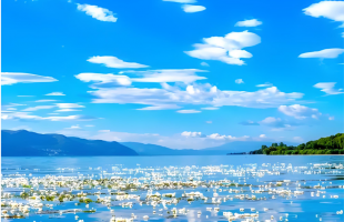 讲好“一带一路”故事 共绘美好生活画卷