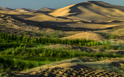 一根种子绳，适配多样防沙治沙场景   