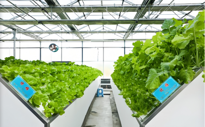 推动“汗水农业”向“智慧农业”转型升级    