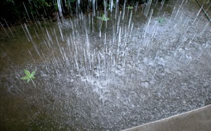 中央气象台：江南华南等地多降水 