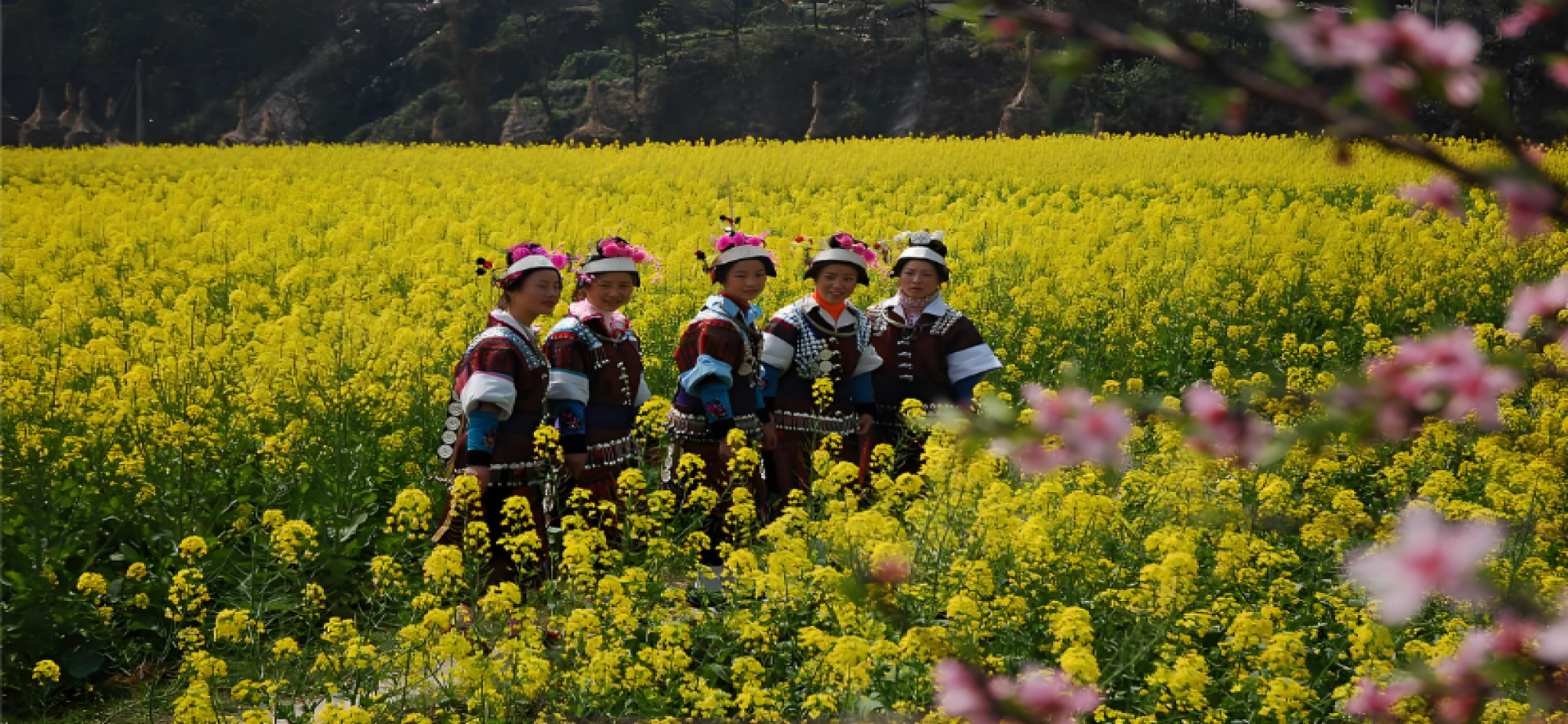 让农民生活更加富裕美好