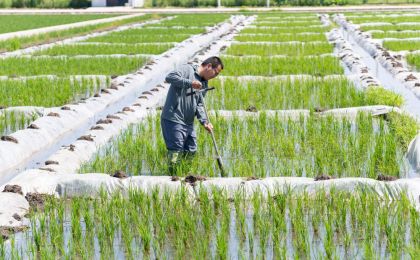 走好中国式现代化关键一程——从全国两会看“十五五”规划新图景 